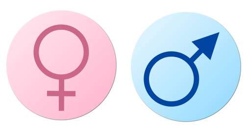 Gender Sensitization