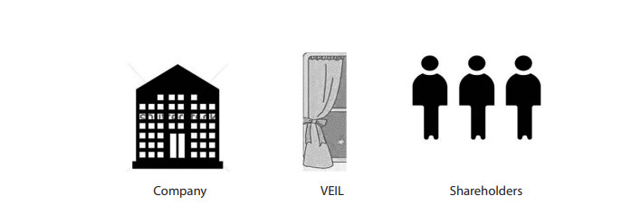 Business Law – The Corporate Veil