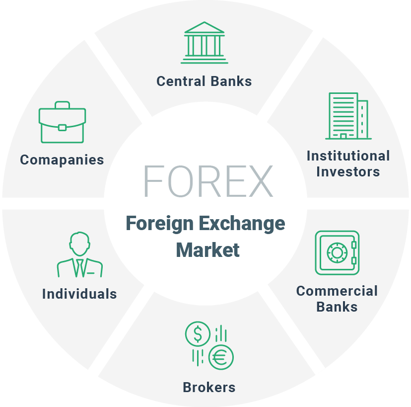 Forex Market Players