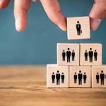 Organizational Structures