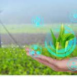 E-Chaupal − A New Era in the Indian agro Sector