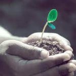 Cultivating Compassion