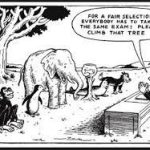 Standardization Vs Differentiation