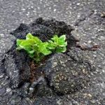 Defining Resilience