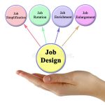 Job Design