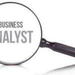 Why a Business Analyst?