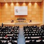 Role of WTO in Promoting International Trade