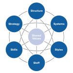 Modelling the Seven Genes of Agile