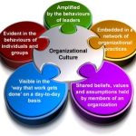 Organizational Culture and HR Practices