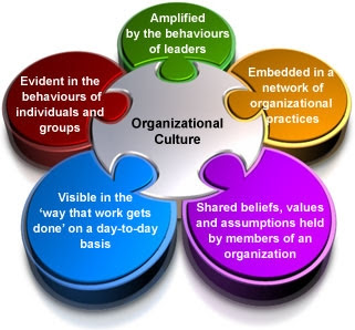 Organizational Culture and HR Practices
